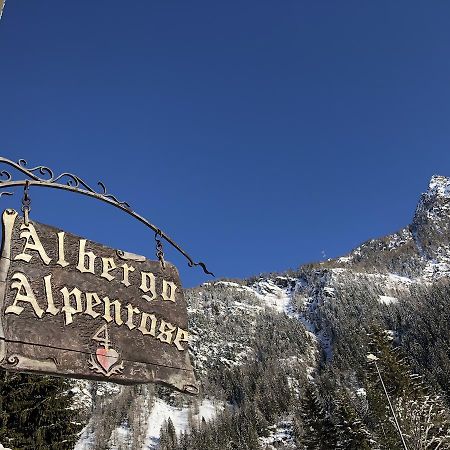 Albergo Alpenrose Ski&Bike Mountain Hotel 그레서니세인트존 외부 사진