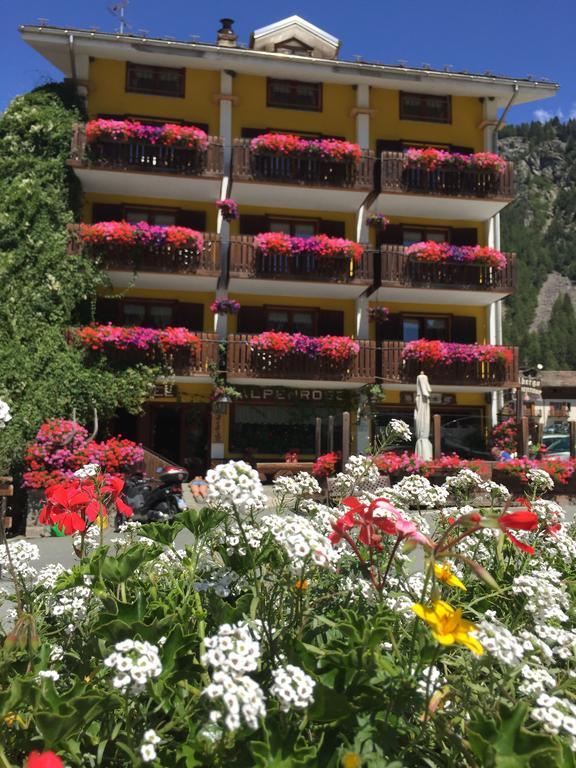 Albergo Alpenrose Ski&Bike Mountain Hotel 그레서니세인트존 외부 사진