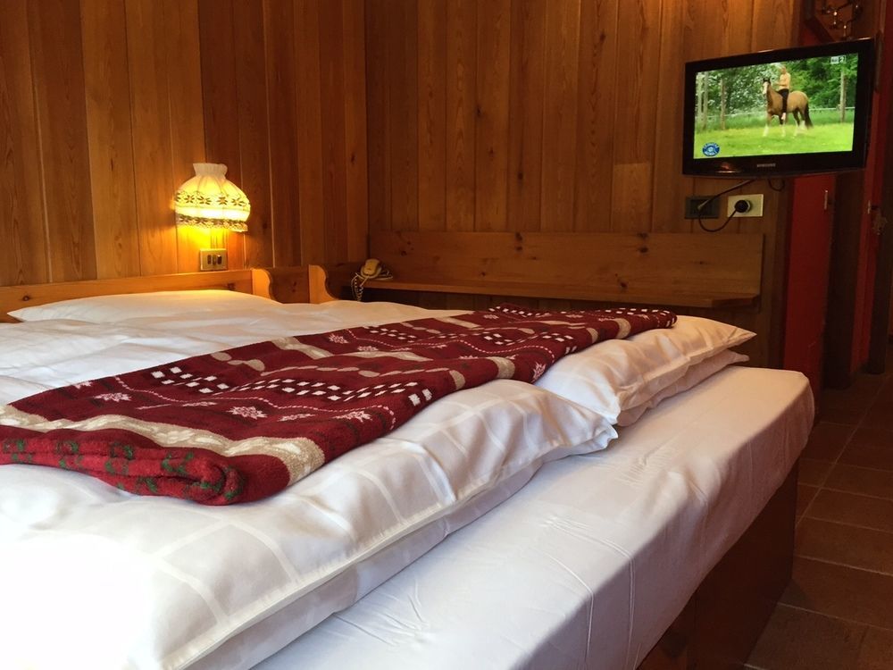 Albergo Alpenrose Ski&Bike Mountain Hotel 그레서니세인트존 외부 사진