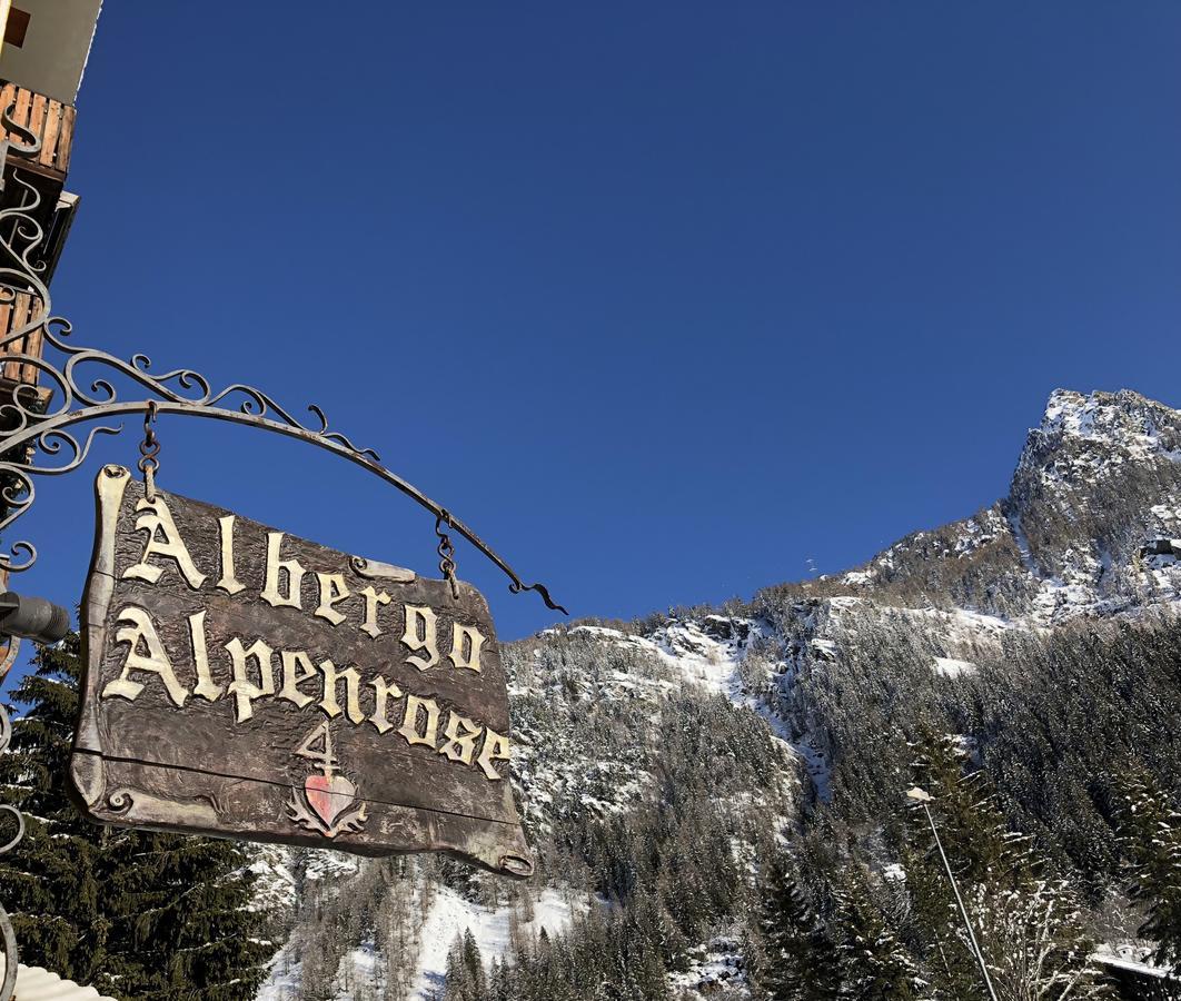 Albergo Alpenrose Ski&Bike Mountain Hotel 그레서니세인트존 외부 사진