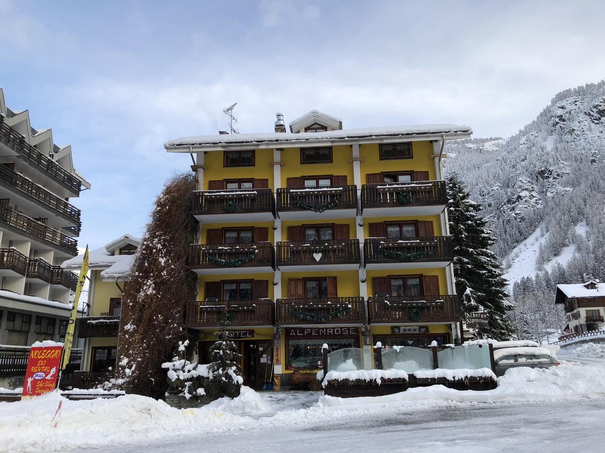 Albergo Alpenrose Ski&Bike Mountain Hotel 그레서니세인트존 외부 사진