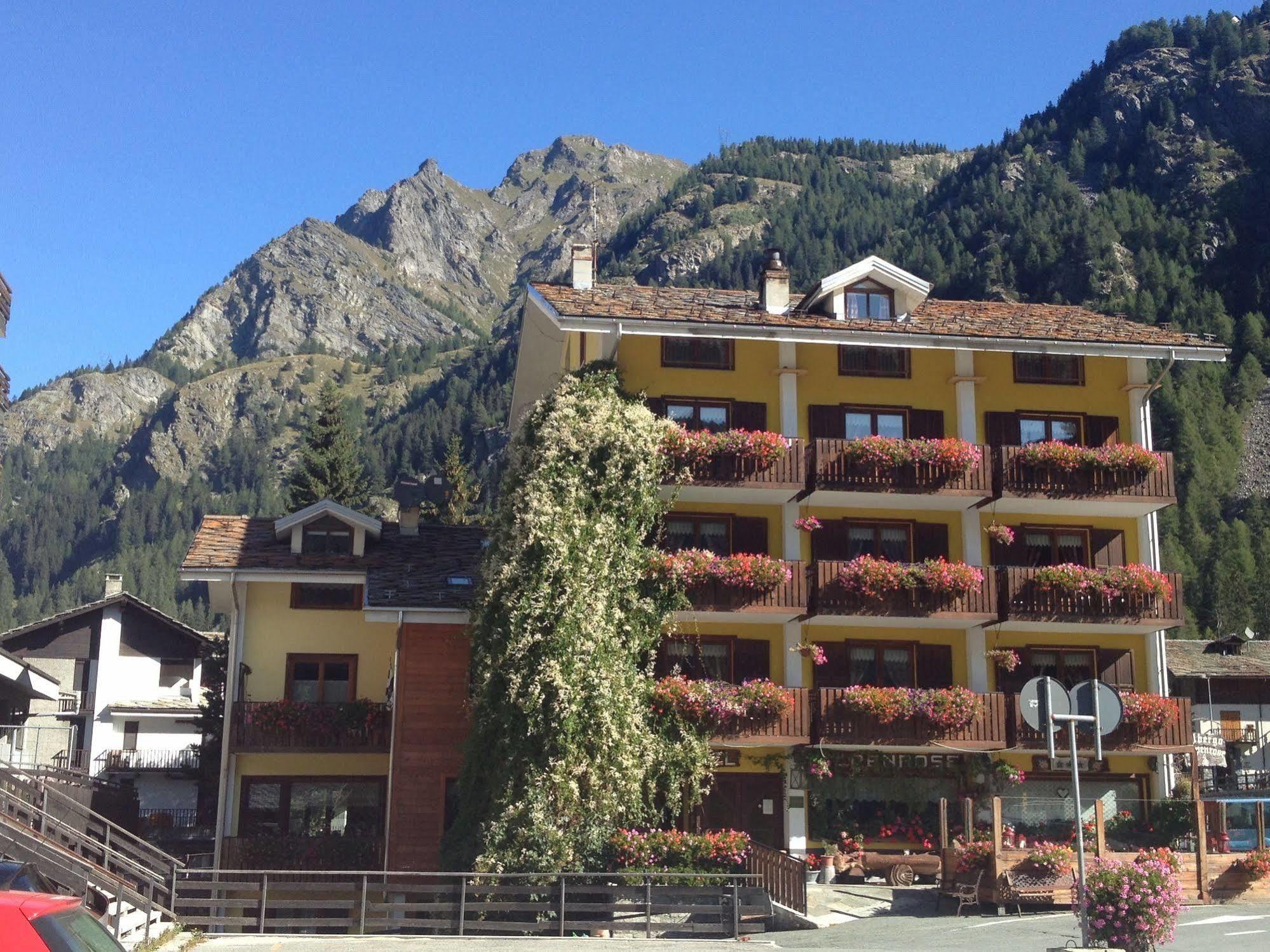 Albergo Alpenrose Ski&Bike Mountain Hotel 그레서니세인트존 외부 사진